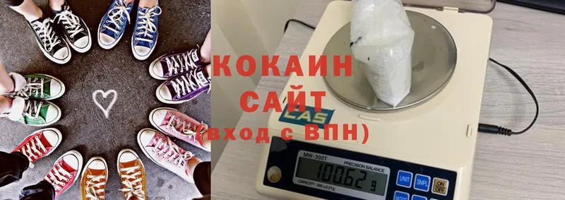 дарнет шоп  Новое Девяткино  COCAIN Fish Scale 